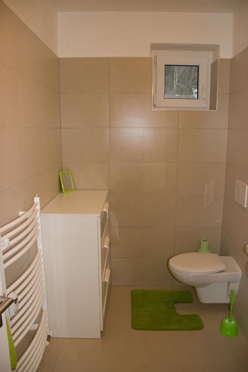 Apartmán V Zeleni Dolní Morava Habitación foto
